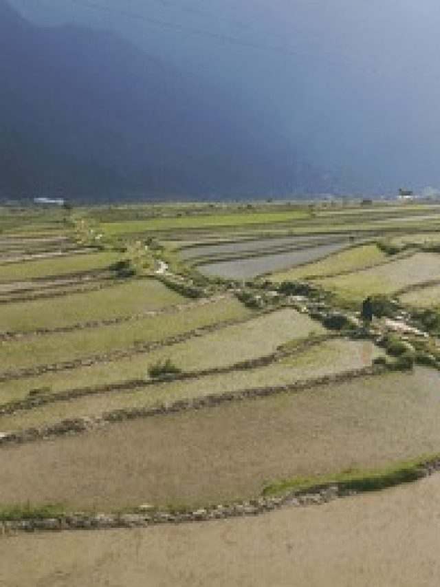 beautiful-view-rice-fields-farming-260nw-2529097385