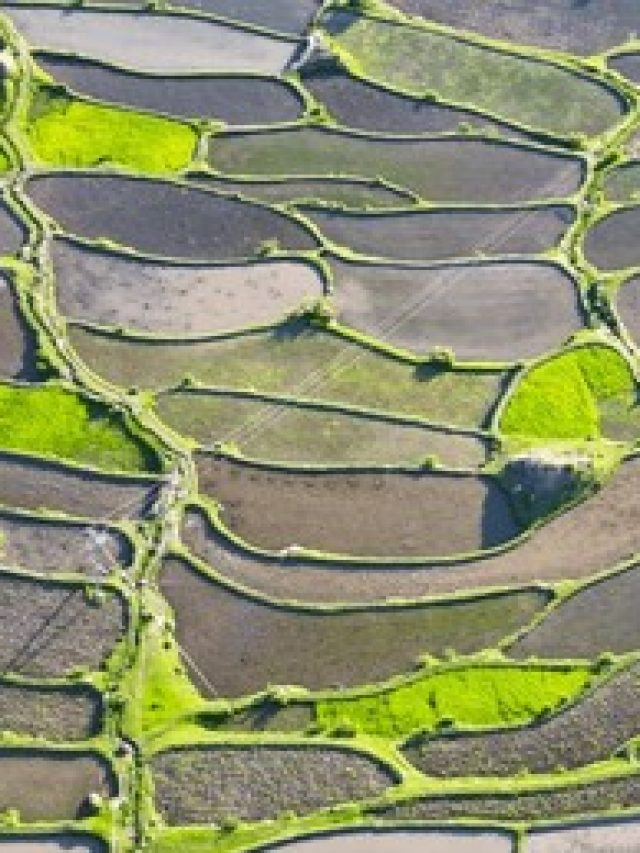 famous-paddy-fields-leepa-valley-260nw-2479199947